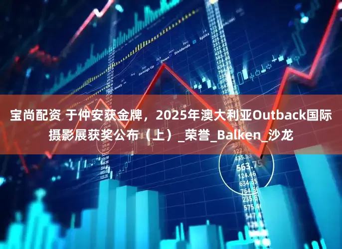 宝尚配资 于仲安获金牌，2025年澳大利亚Outback国际摄影展获奖公布（上）_荣誉_Balken_沙龙