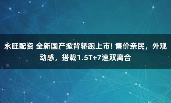 永旺配资 全新国产掀背轿跑上市! 售价亲民，外观动感，搭载1.5T+7速双离合